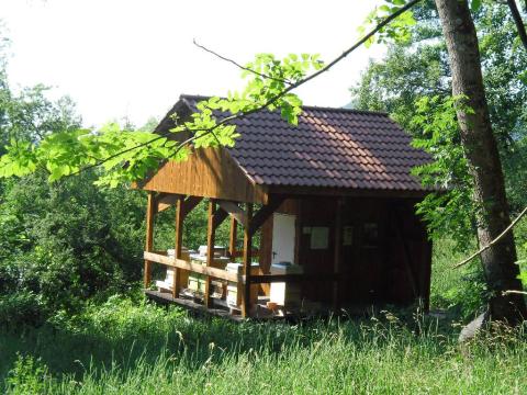 Lehrbienenstand